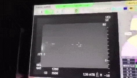 «Панцирь-С1Э», сбивает в Ливии Bayraktar TB2 (GIF видео).