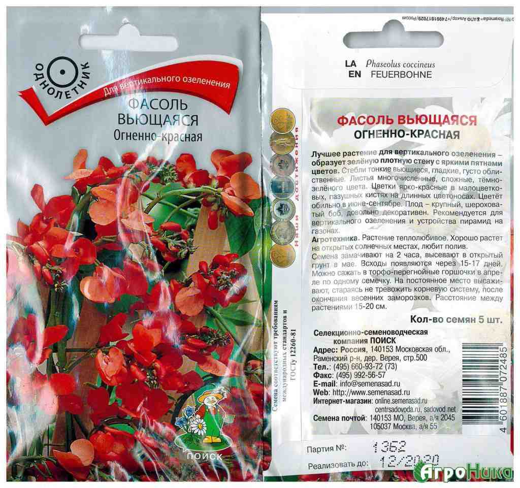 фото из открытого источника яндекс картинки