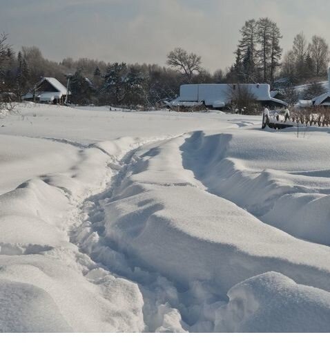 Фото из свободного источника. Яндекс картинки.