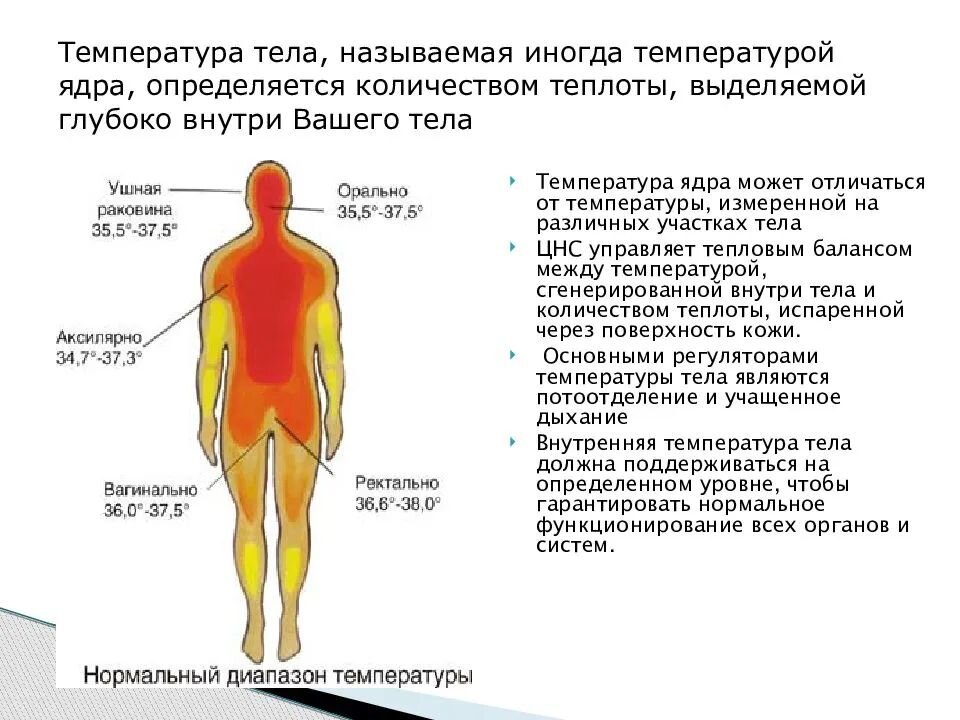 Жар у взрослых людей (повышение температуры)