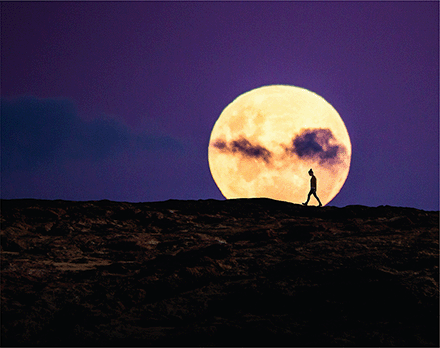 Лунный свет и приливные циклы влияют на поведение и биологические ритмы многих животных, в том числе людей.