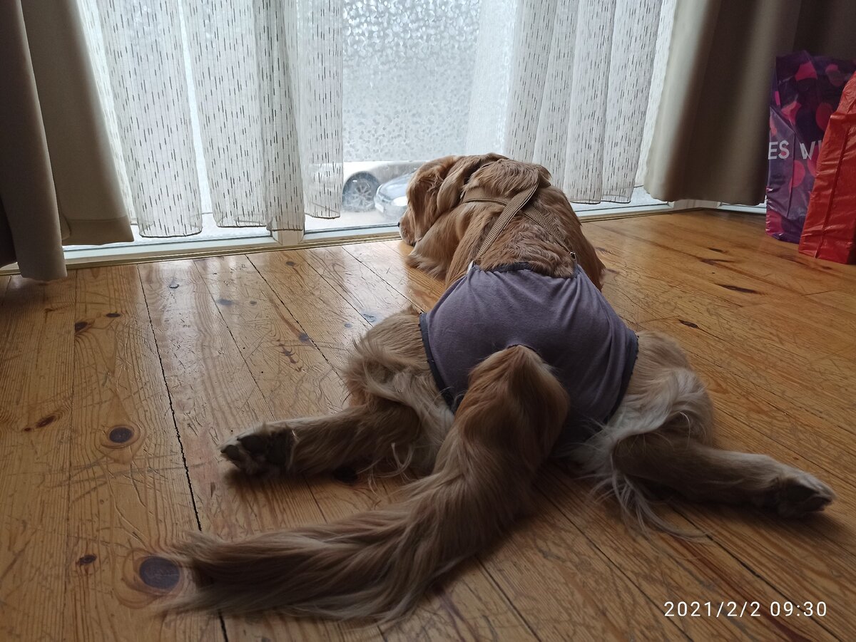 Ну красота же!