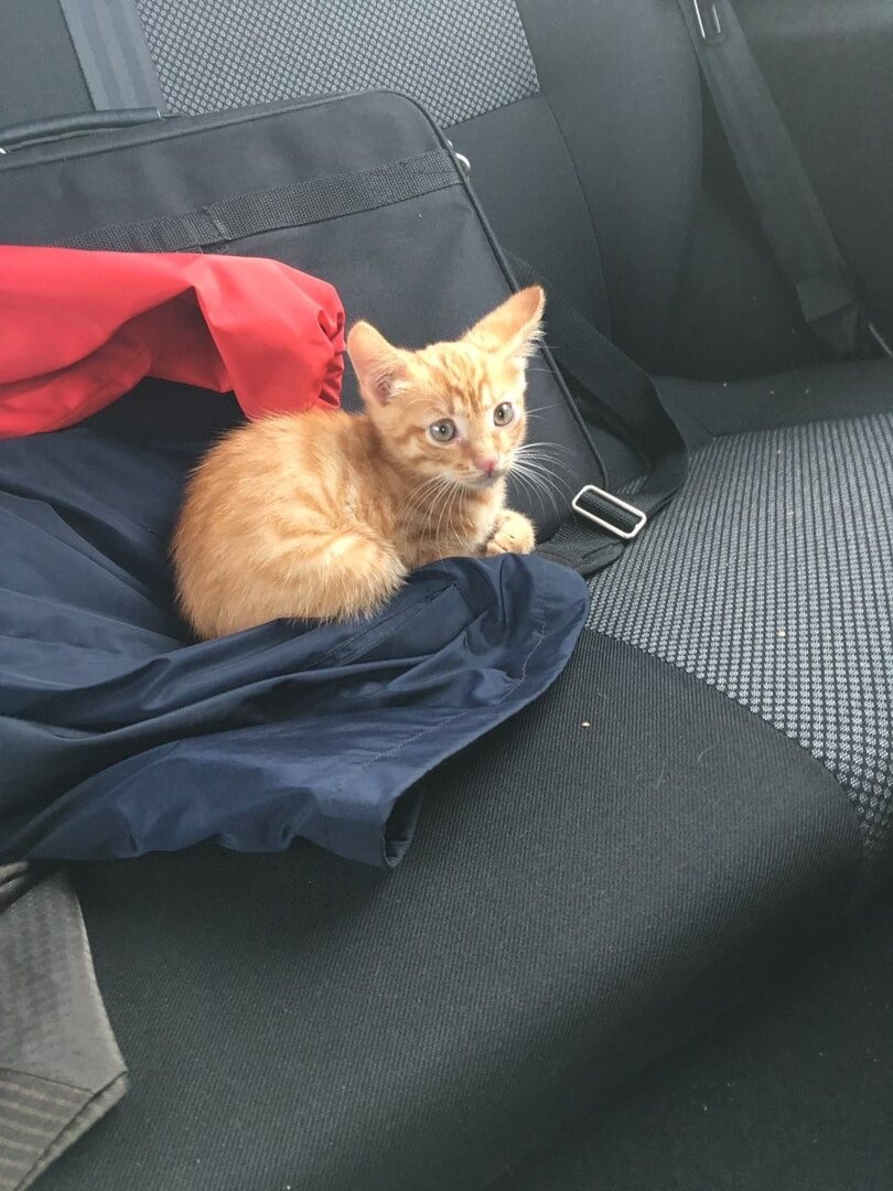 Ехал в неизвестность 