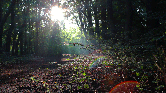 #Любите жизнь 