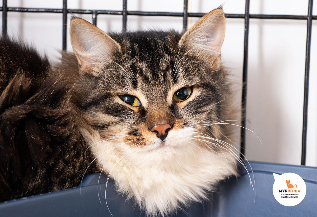 Франтик, счастье совсем близко!