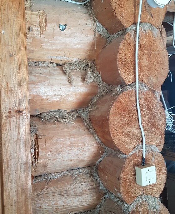 Фото бревен в бане