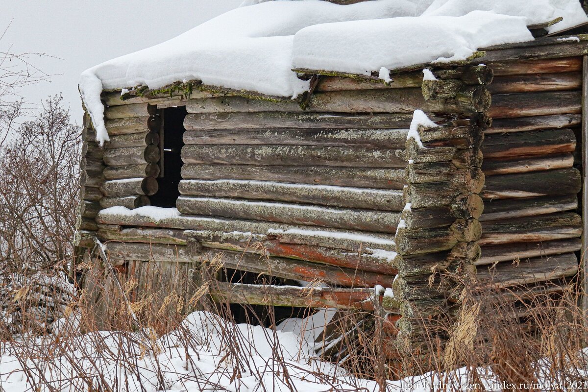 Деревня середняков. Деревня середняков. Забытая деревня. Илькино меленковского района. Дом крестьянина волкова из села илькино.