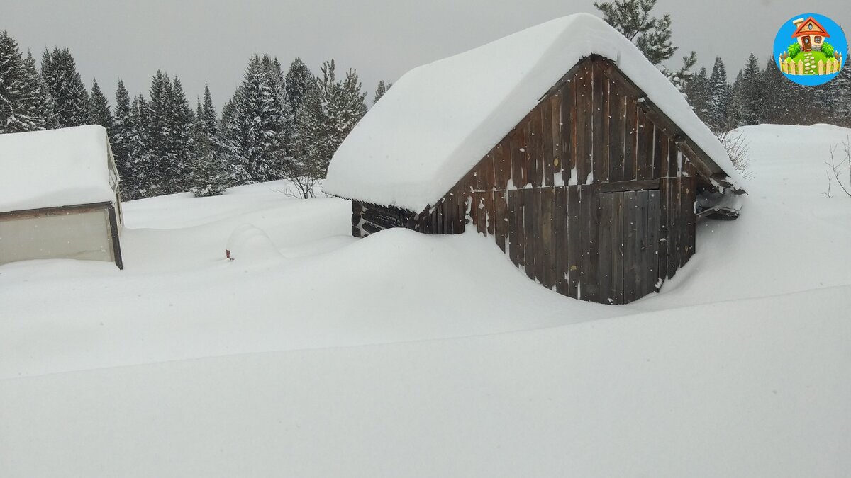 Вид из окна на кухне, баньку почти замело. А уже пора садить первую партию семян перцев на рассаду. Даже не верится, что когда то все растает.