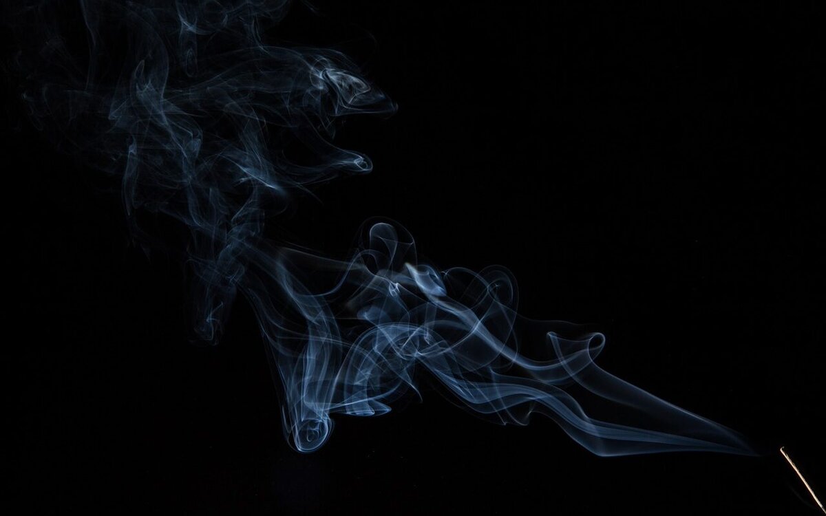 с сайта Pixabay