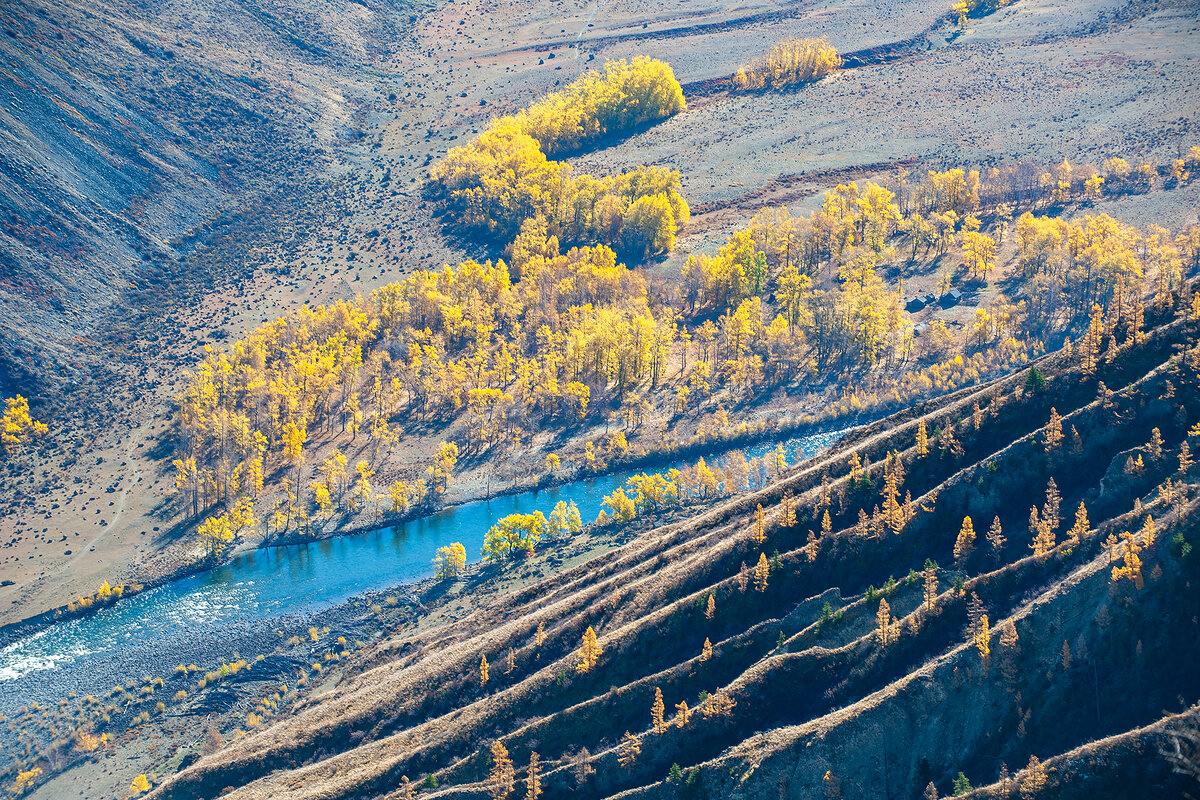 Горный Алтай. Красивая река Чулышман не оставляет равнодушным |  Фотопутешествия | Дзен
