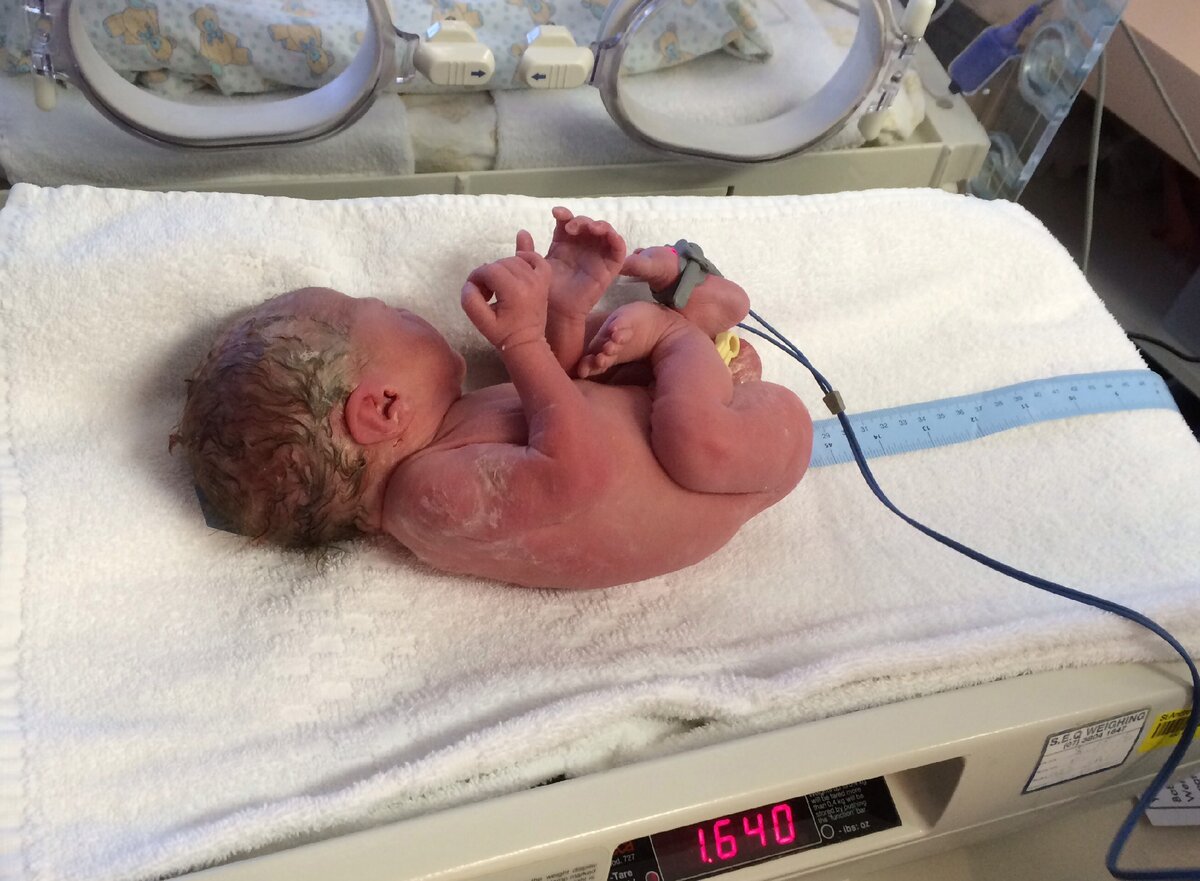 Фото: Яндекс.Картинки