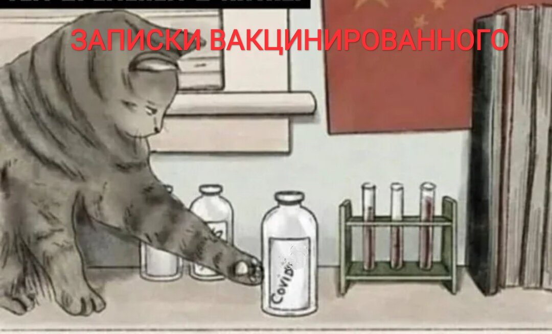 из поиска Яндекс.