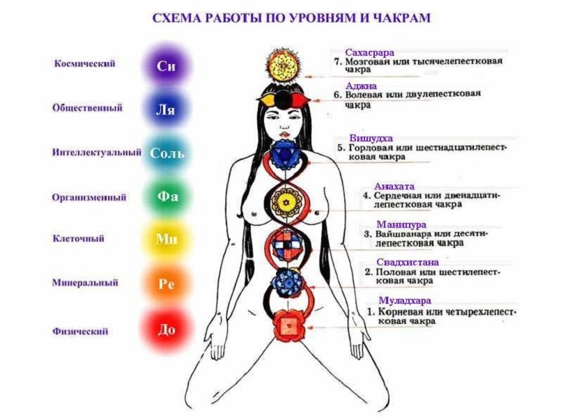 Как понять какая у тебя энергетика. Энергетические центры человека схема. Энергетические центры человека чакры. 12 Чакровая система человека схема. Энергетические центры человека чакры схема.