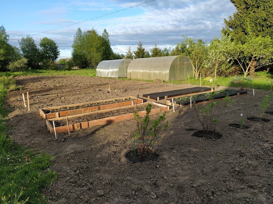                                                         Фото личного архива.