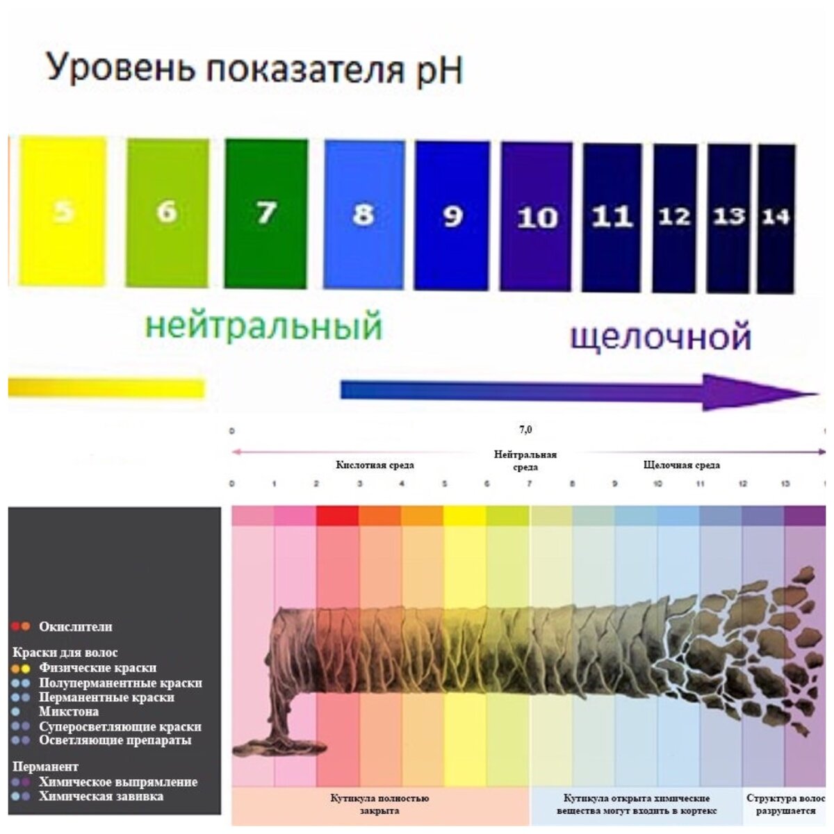 Кислотность ph среды и здоровье человека проект