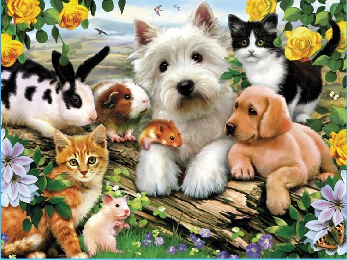 фото из открытого источника