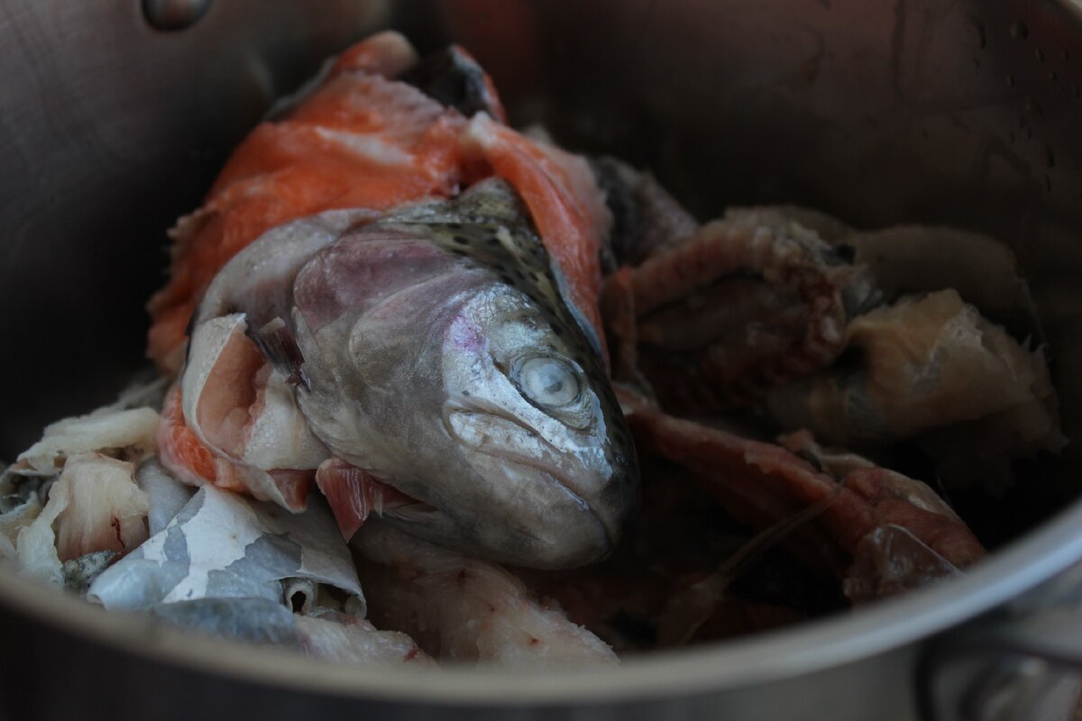 Кулинарные ужастики