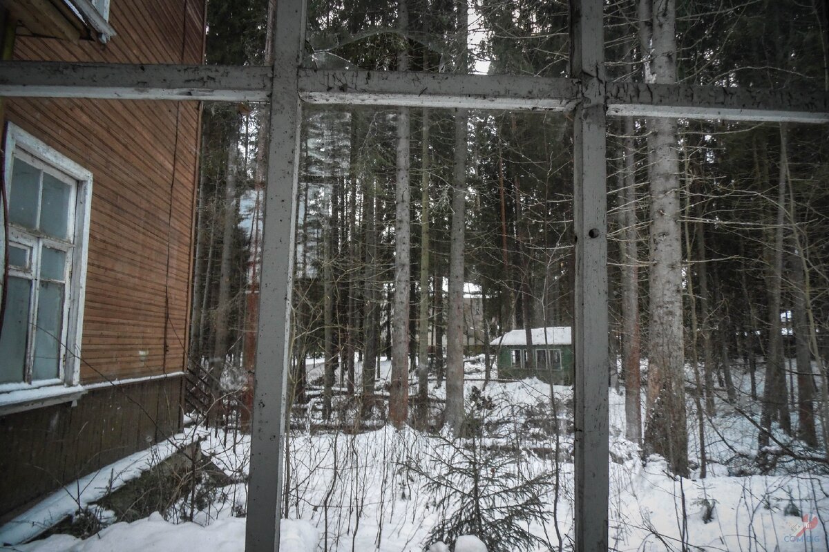 Территория заброшенного детского лагеря. 
