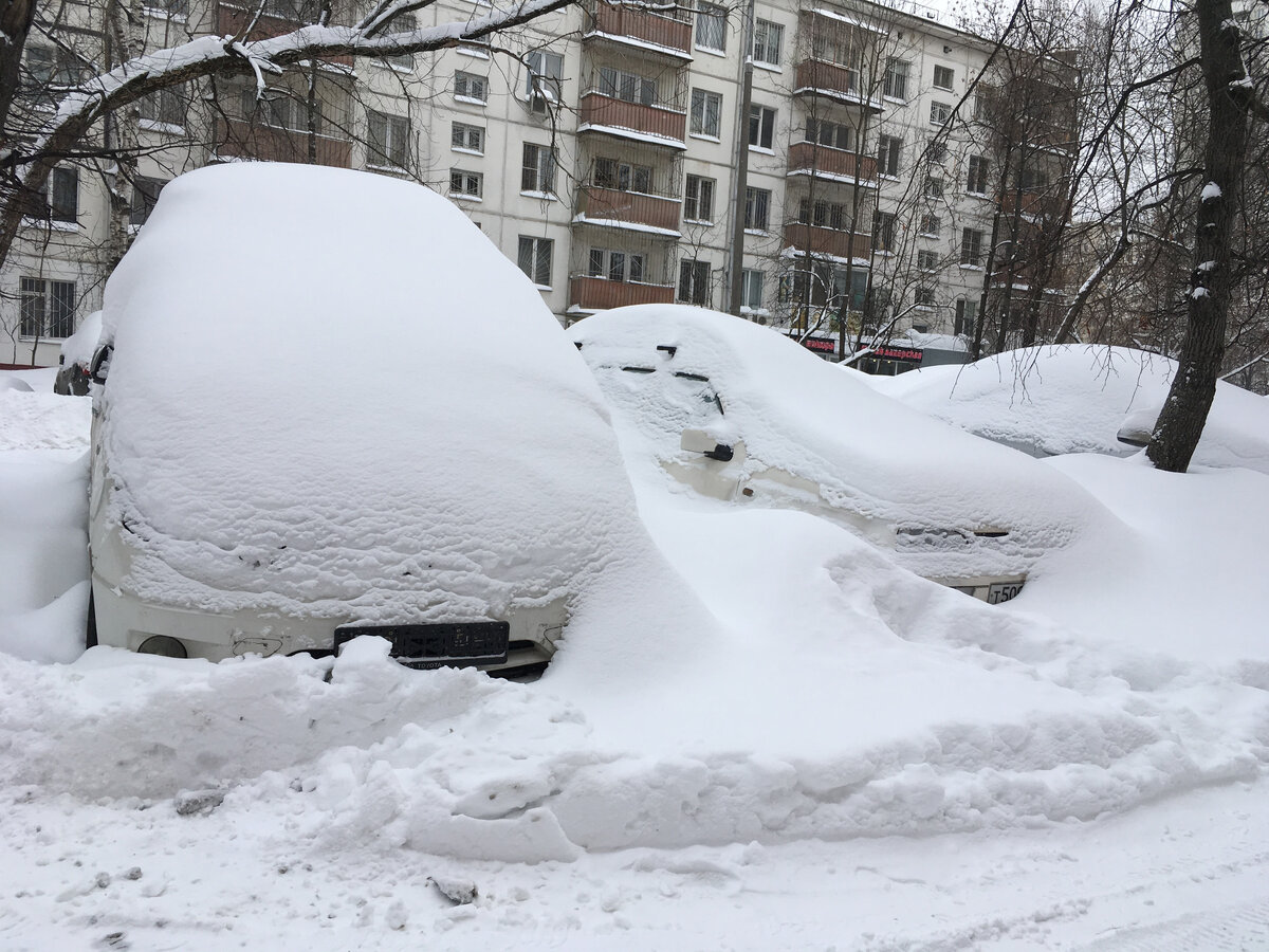Зима-2021 в Москве. Сфотографировано автором этого поста