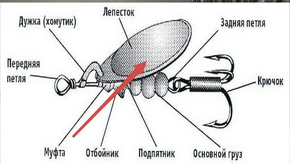 Крепёж для гипсокартона: виды и особенности монтажа