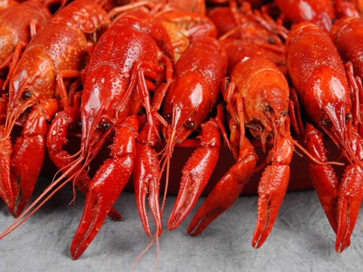 Омары рулят!