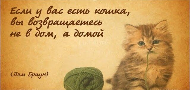 Картинка из открытых источников 