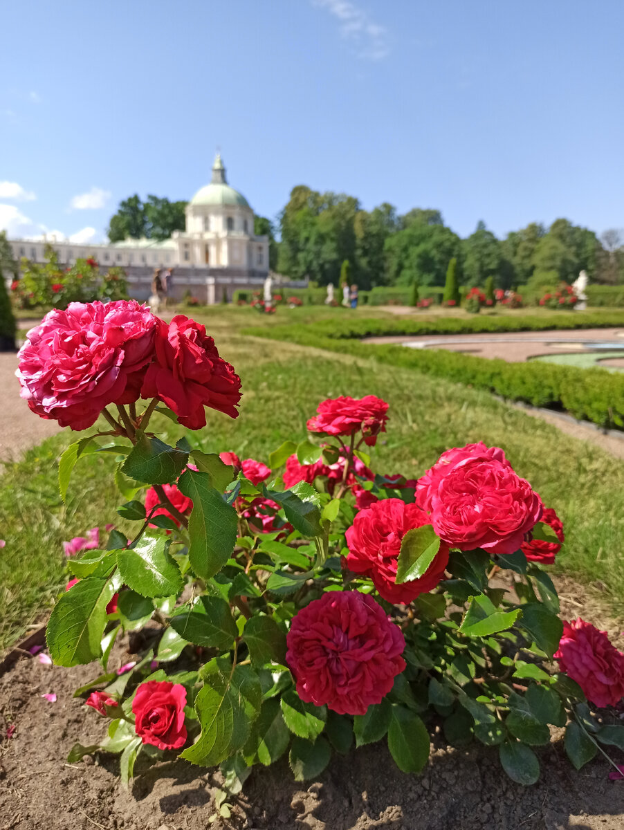 Фото из личного архива