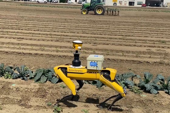 Автономный робот Spot от Boston Dynamics в работе 