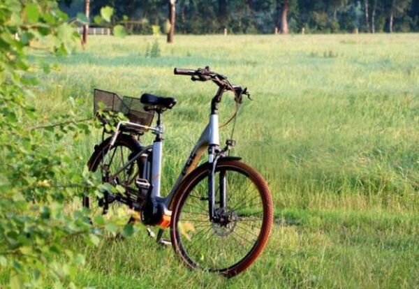 Источник фото: pixabay.com