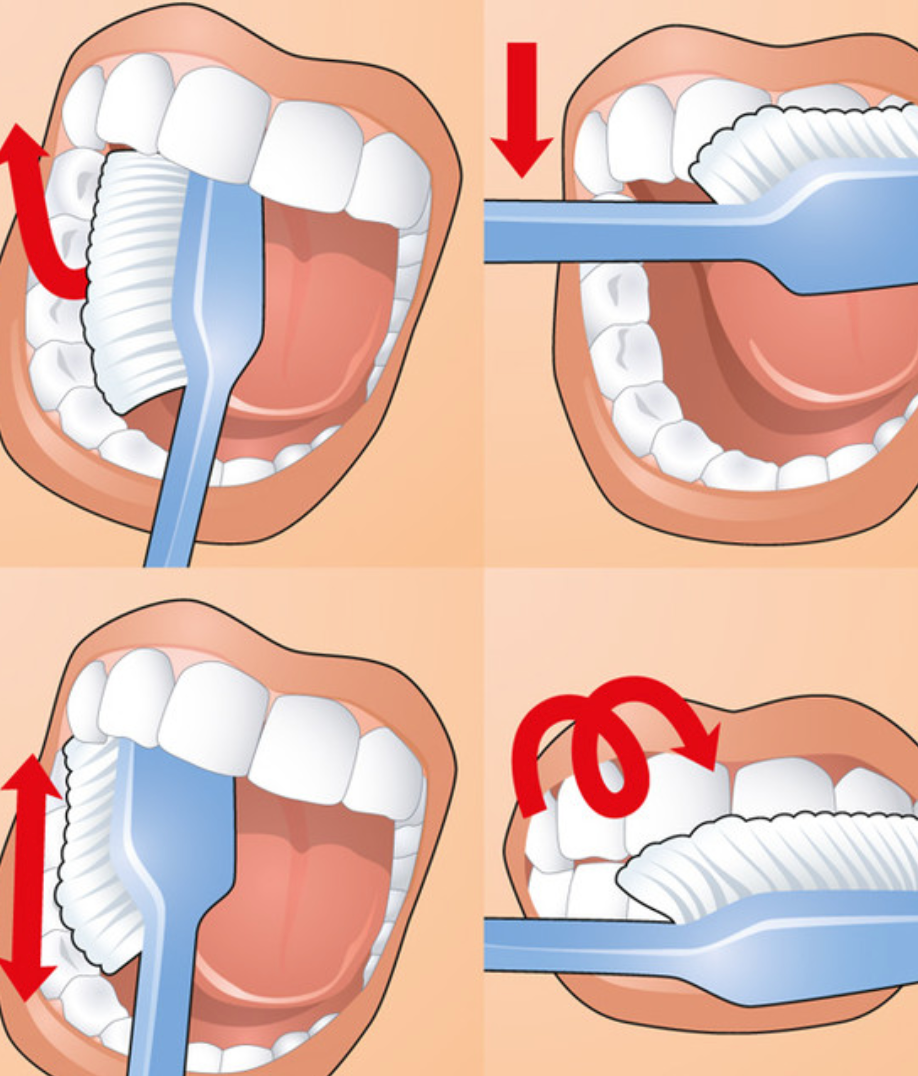 Чтоб зуб. Схема правильной чистки зубов. Как правильно чистить зубы. Как правильно читать зубы. Какпровельно чистить зубы.