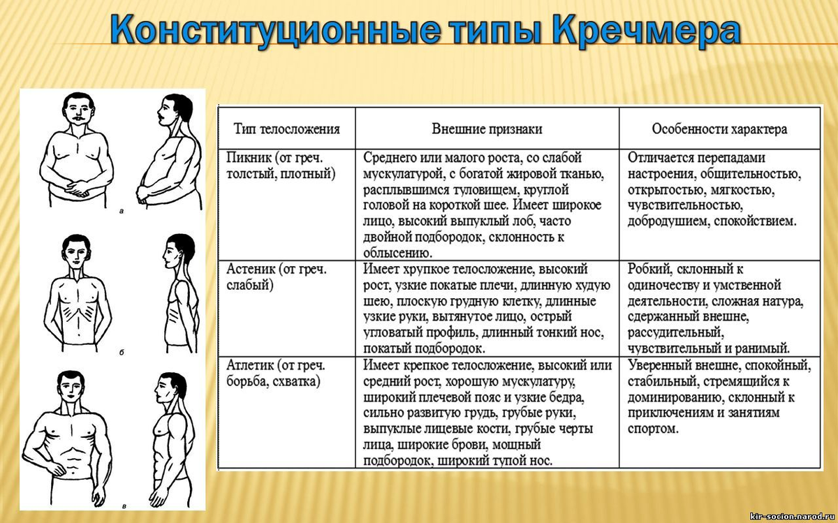 Тип человека 5 1. Типы телосложения по Кречмеру астеник пикник Атлетик. Конституциональные типы э. Кречмер. Классификация темперамента по Кречмеру. Характеры пикник астеник Атлетик.