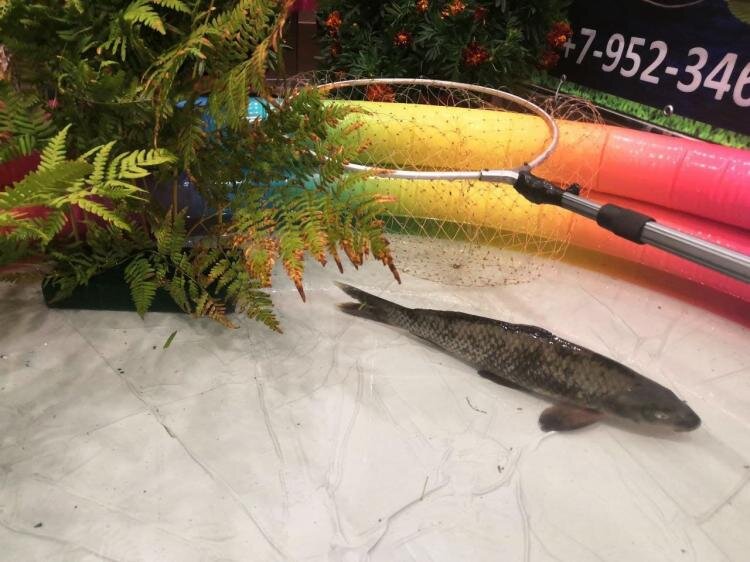 Фото: ИА "Тюменская линия"