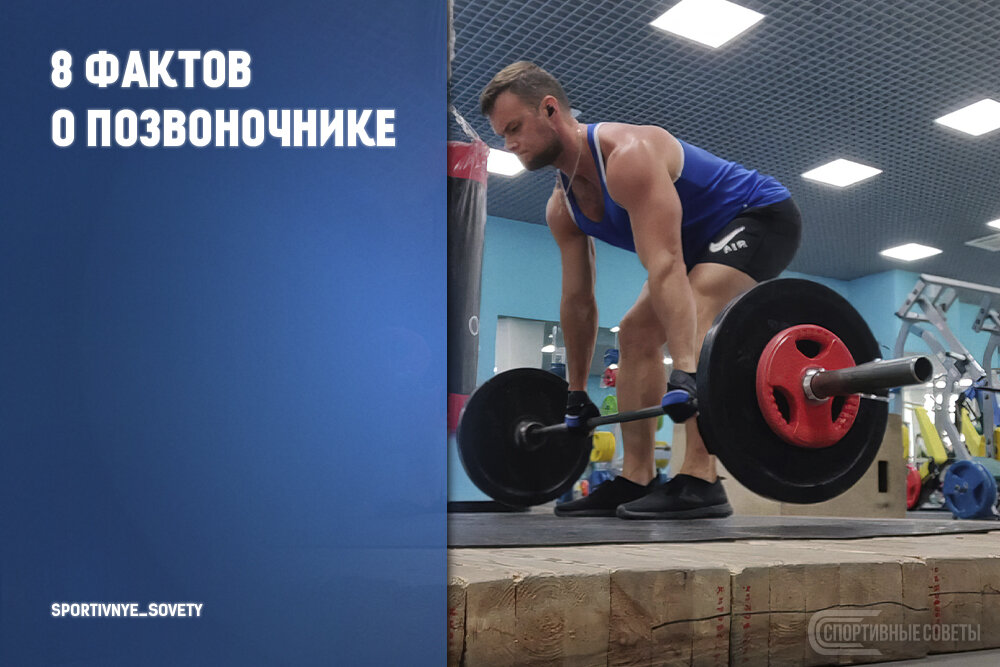 источник - https://vk.com/sportivnye_sovety