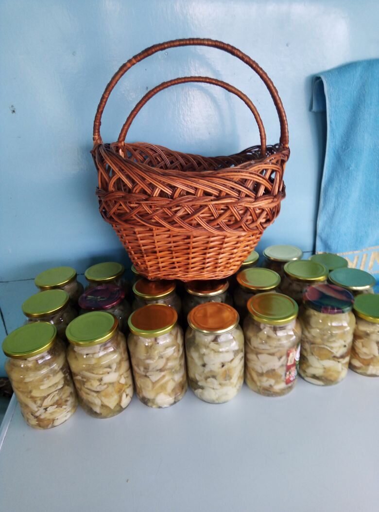 Угощайтесь на здоровье. Фото моё. а грибов дали)))