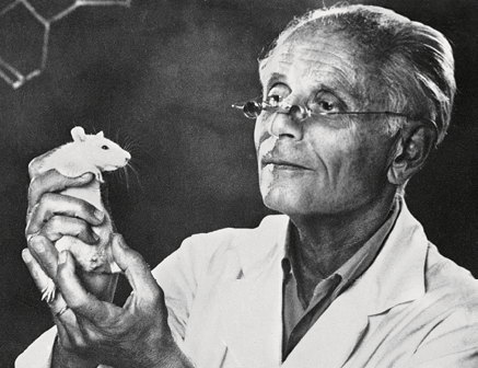 Ганс Селье, канадский патолог и эндокринолог (1907-1982 гг.)