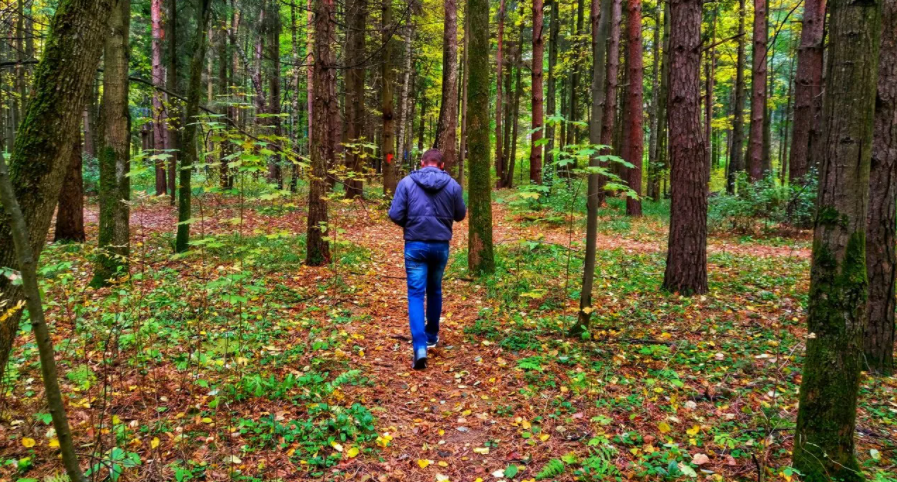 Ходите правильно! Что важно знать для максимальной пользы от пеших прогулок? 