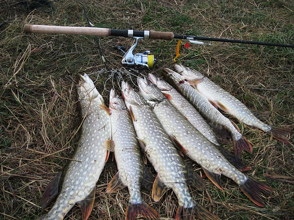 Добавьте описание