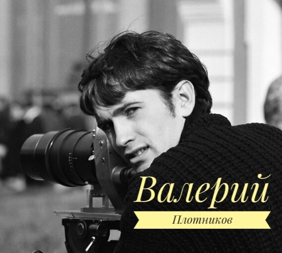 Валерий Плотников