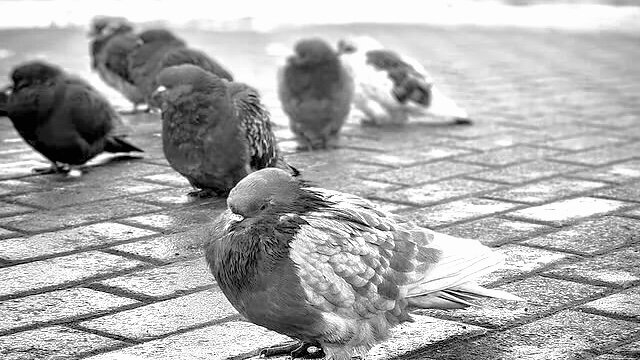 Источник Яндекс Картинки