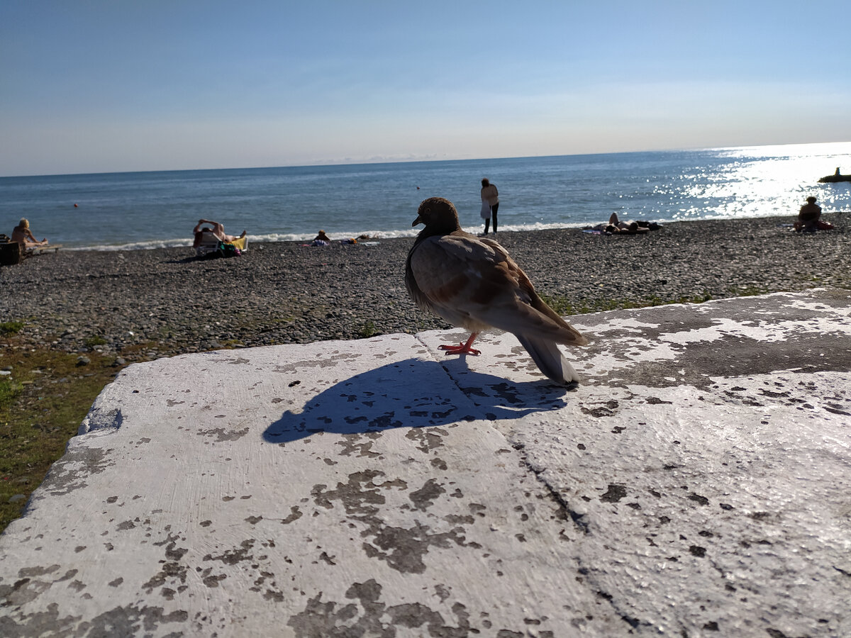 Фото автора Сухуми