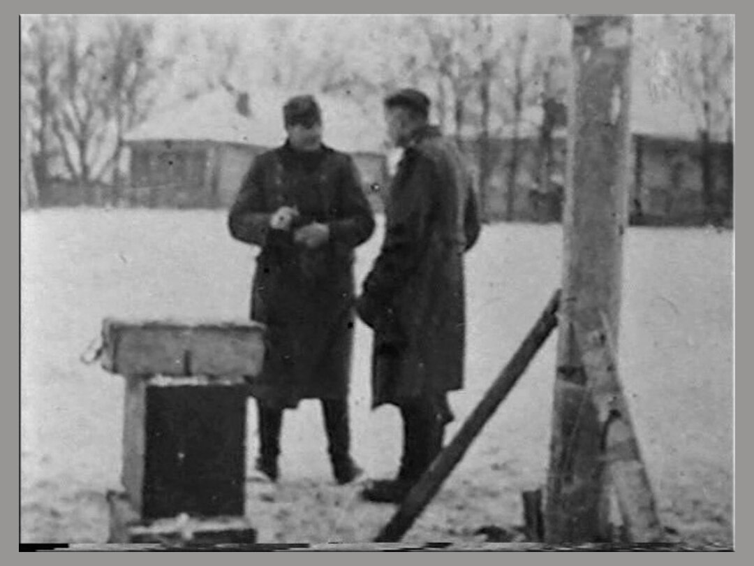 18 летняя партизанка взятая в плен немцами. Зоя Космодемьянская казнь. Казнь партизанки Зоя Космодемьянская. Казни Зои Космодемьянской в 1941 году. Зоя Космодемьянская повешение.