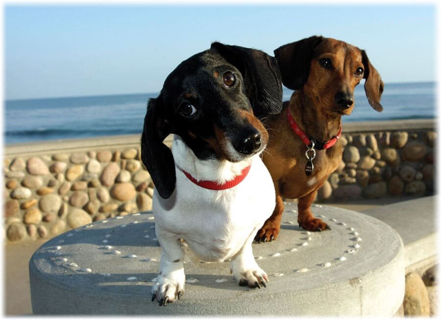 Мы думаем, что...