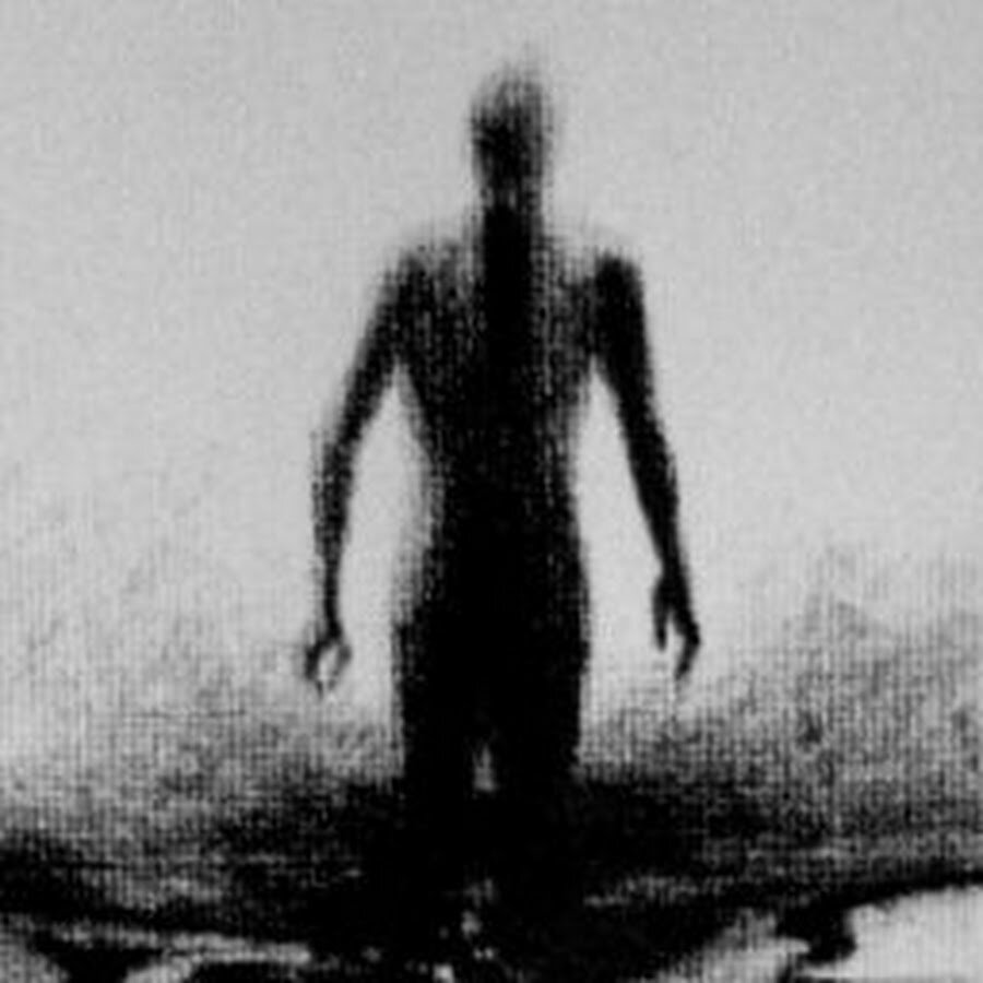 Из свободного доступа