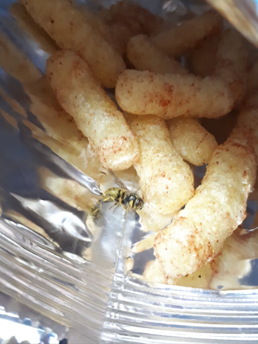 Комплимент от шефа?  