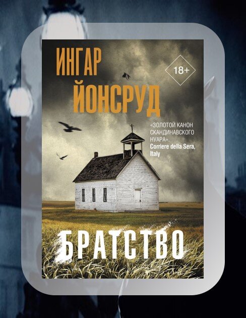 Норвежский писатель, с трудно запоминаемой фамилией для русского уха, создал отличный детектив в стиле нуар. Пропала дочка влиятельного политика - Аннетте Ветре. Девушка состояла в религиозной общине, и наверняка ее исчезновение как-то связано с деятельностью секты. Однако совершенное в пригороде Осло жестокое убийство адептов учения, к которому принадлежала Аннетте, наталкивает следствие на мысль, что дело намного сложнее, чем кажется на первый взгляд. 
