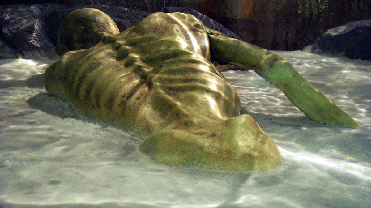 Просто мумия)) (изображение из открытых источников)