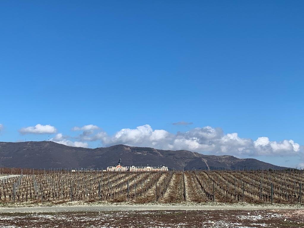 Сейчас красиво, а летом - бомба!