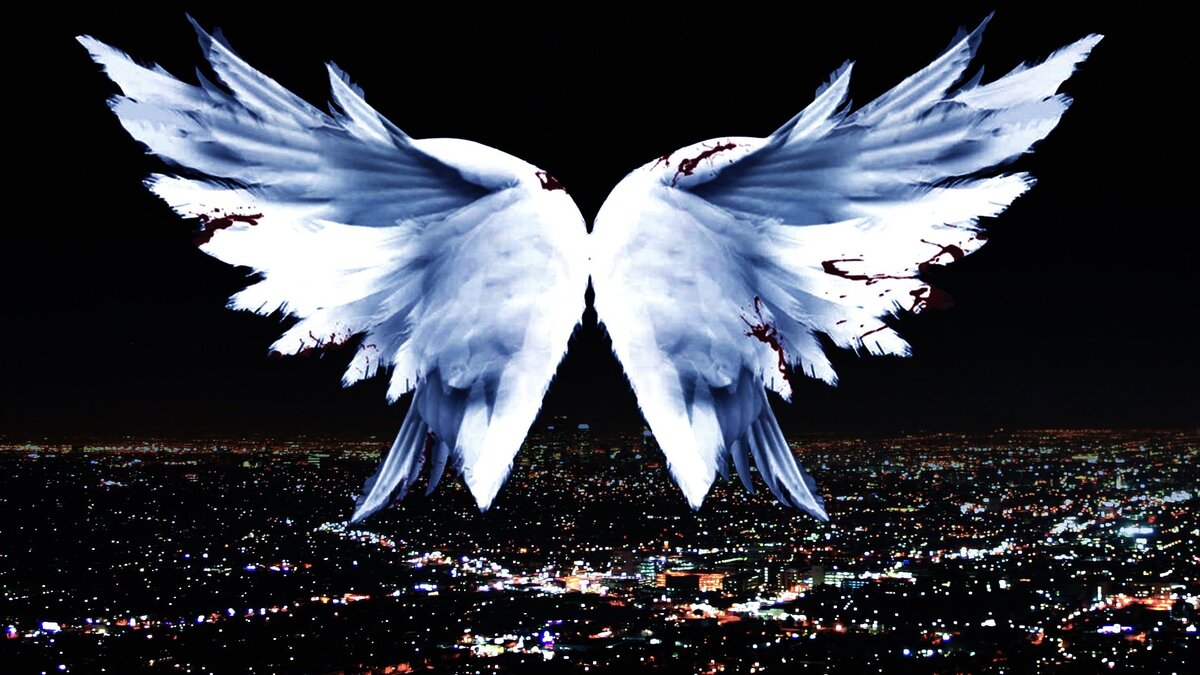 картинка из свободного доступа.