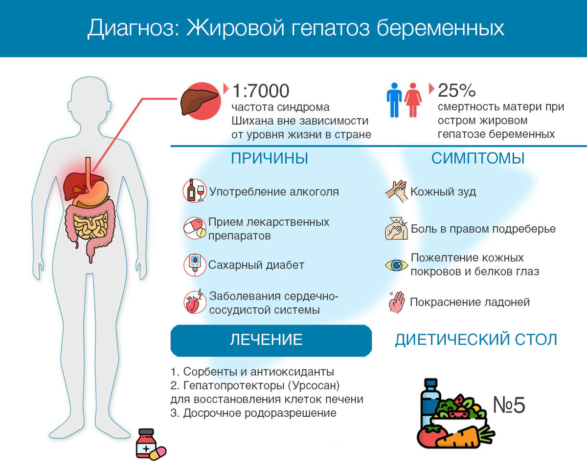 Жировой гепатоз беременных (острая жировая дистрофия печени): причины, симптомы, лечение. Инфографика 