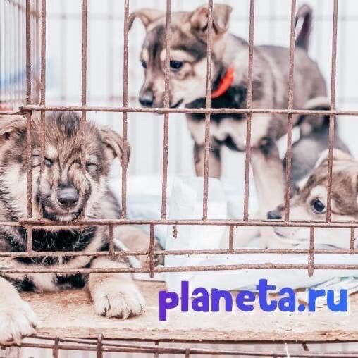 Проект терпит крушение 